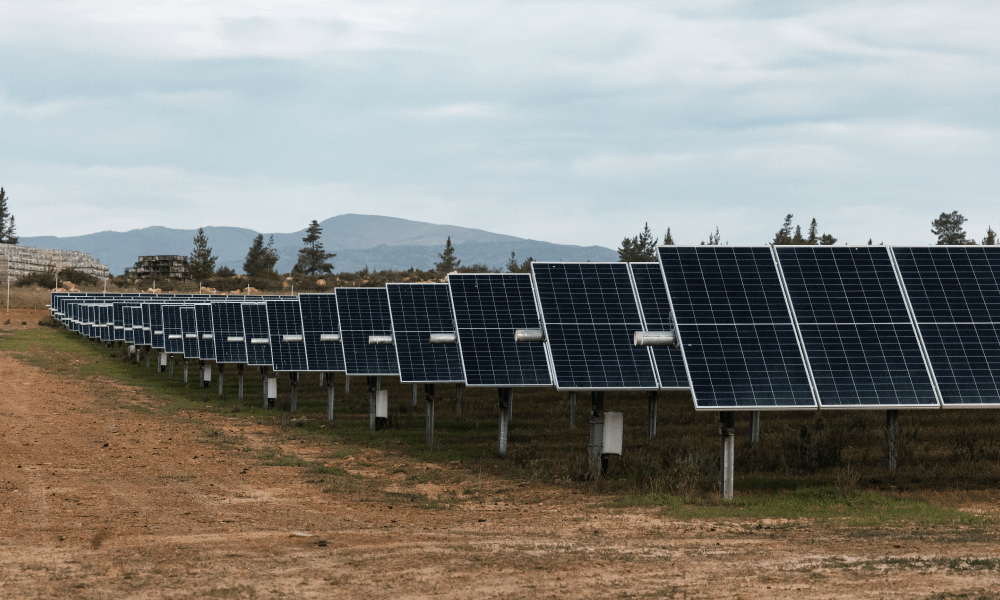 Read more about the article Howbill is a proud Carbon Hero